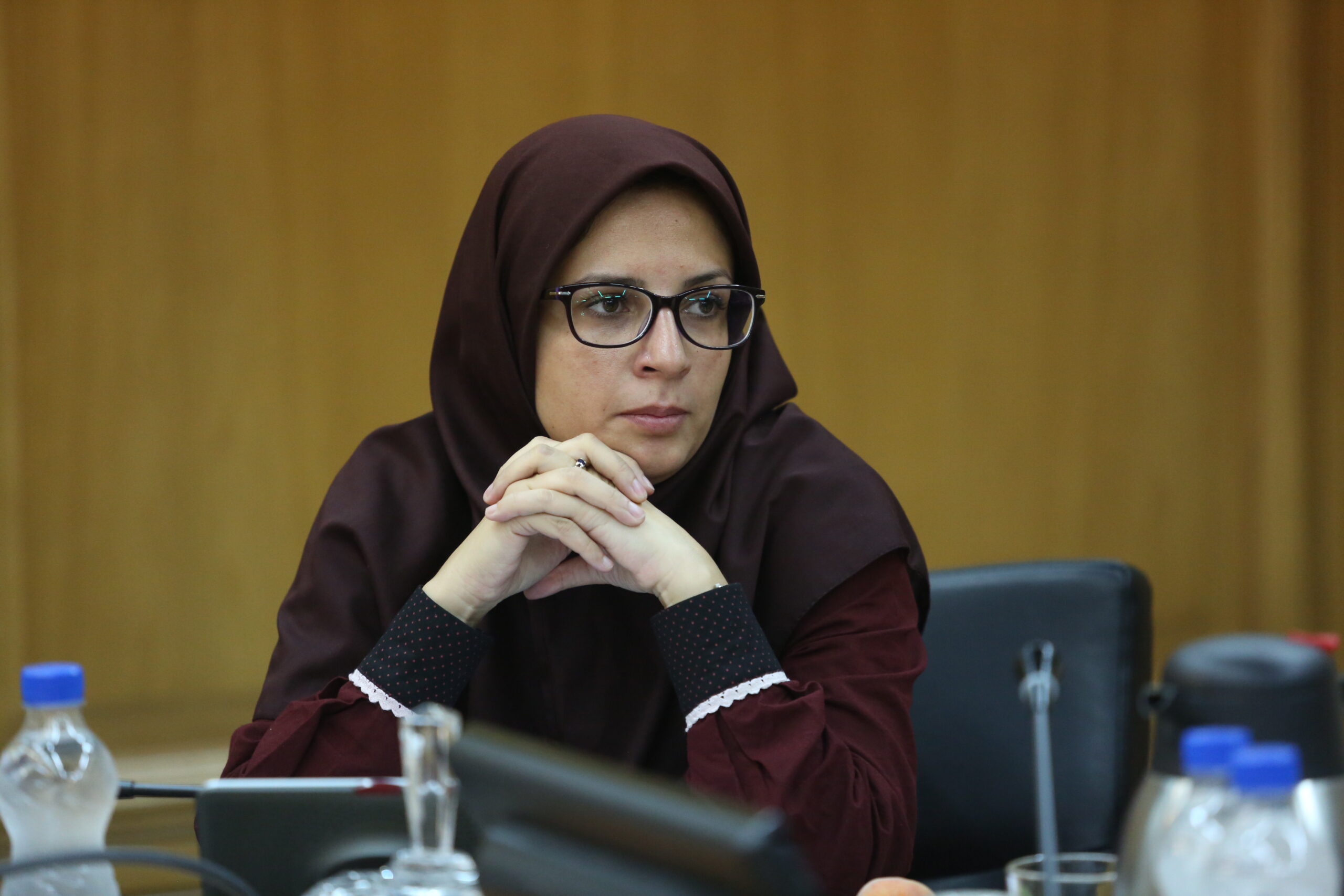 دولت چهاردهم قبل از جنگ حس ناکارآمدی ایجاد می‌کرد ولی این نقیصه در دوره جنگ برطرف شد