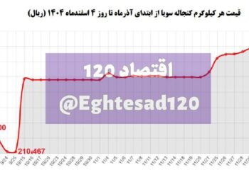 رشد ۳ برابری قیمت کنجاله سویا پس از آزادسازی قیمت‌ها