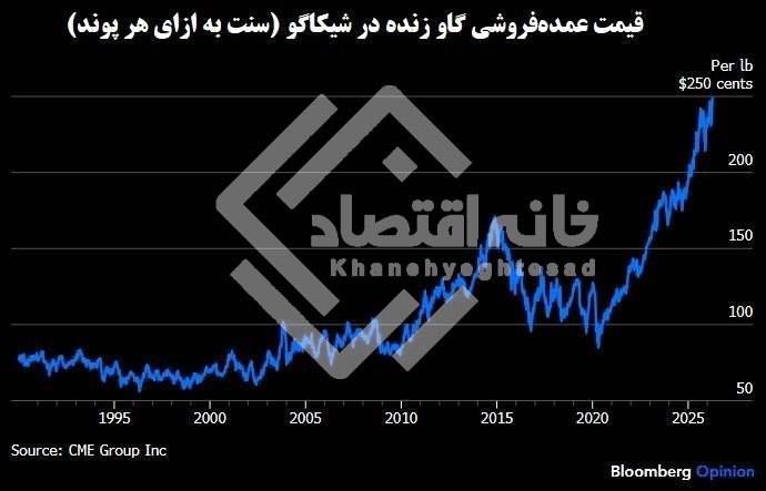 قیمت گوشت در آمریکا افسار پاره کرد/رشد ۴۳ درصدی در دوره ترامپ