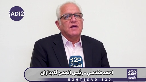 روزی که ارز ترجیحی قطع شد و قیمت کالاهای اساسی ۶ برابر شد که اصلا جنگ شروع نشده بود، پس مسئولان حق ندارند گرانی امروز گوشت و مرغ و لبنیات را گردن جنگ بیندازند