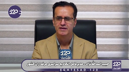 گرانی شدید مرغ در بازار هیچ ارتباطی به جنگ ندارد و تنها علتش حذف ارز ترجیحی و ۵ برابر شدن یک شبه نهاده تولید توسط دولت بود