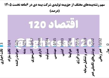 📸 ریسک سنگین بیمه دی/ ۹۳ درصد حق‌بیمه دریافتی مربوط به بخش درمان است